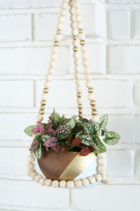 DIY Beaded Plant Hanger