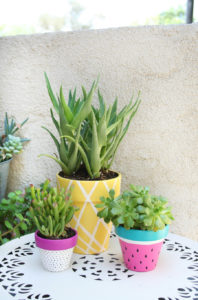 Summer Painted Planters