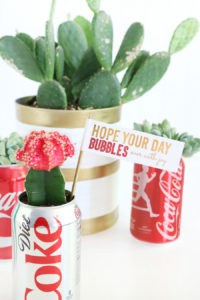 DIY Coca-Cola Succulent Gift Idea