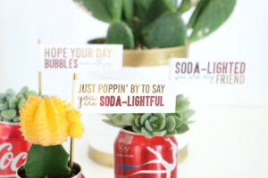 DIY Coca-Cola Succulent Gift Idea