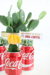 DIY Coca-Cola Succulent Gift Idea