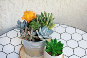 Black & White Spring Porch Refresh