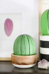 Foam Cactus Decor