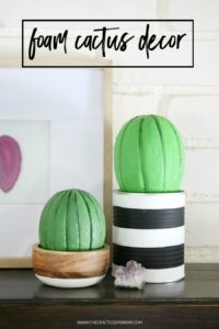 Foam Cactus Decor