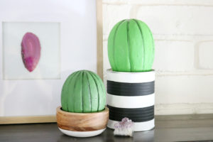 Foam Cactus Decor