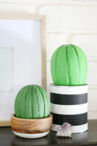 Foam Cactus Decor