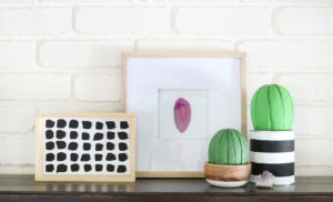 Foam Cactus Decor