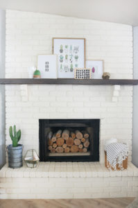 Succulent Inspired Mantel Decor