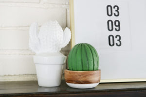 Succulent Inspired Mantel Decor