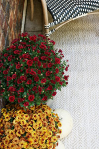 Black & White Fall Porch