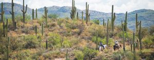 Best Places to Retire - Tucson, Arizona