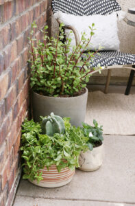 Easy Budget Friendly Front Porch Refresh Ideas